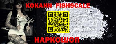 стаф Брянск