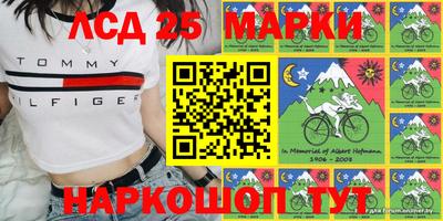стаф Брянск