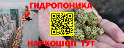 амф Боровичи