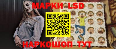 стаф Брянск