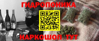 амф Боровичи