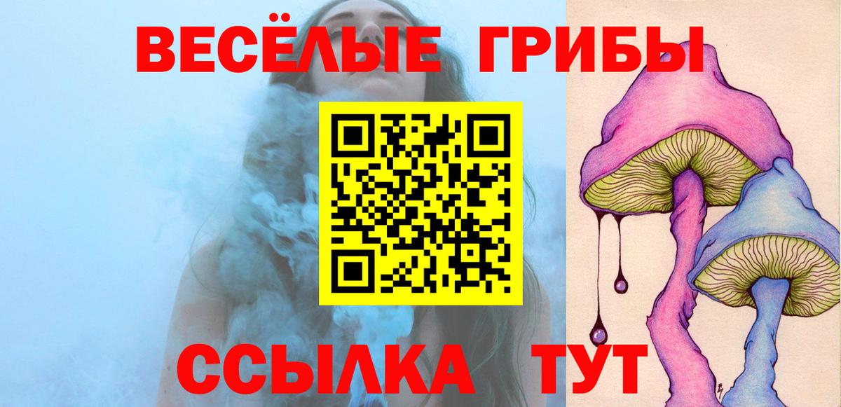 Каспийск  Галлюциногенные грибы Magic Shrooms  Вход с VPN 