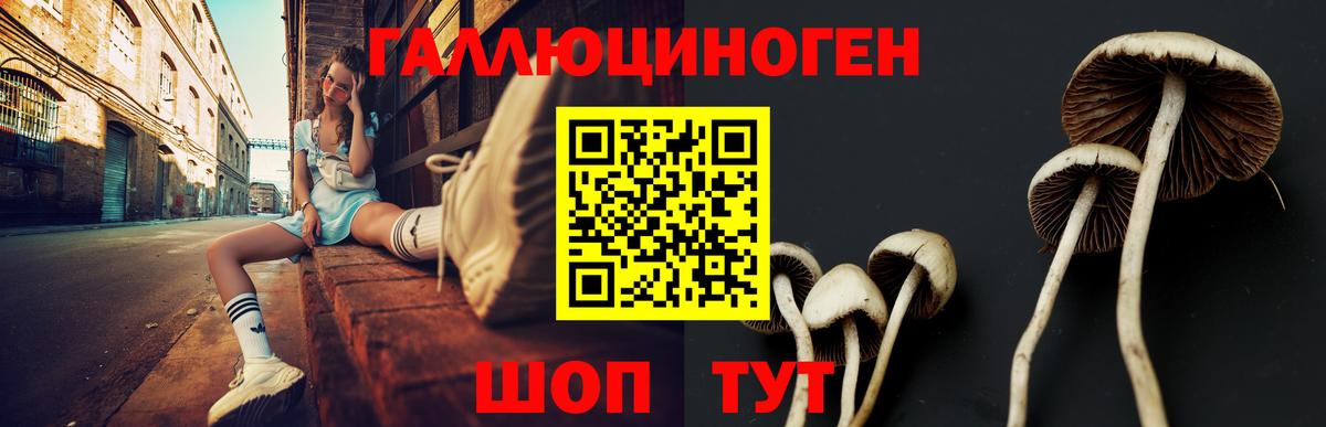 Галлюциногенные грибы Cubensis Каспийск
